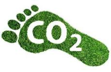 representação da pegada do carbono
