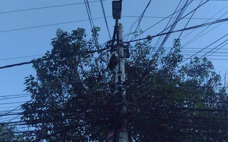 Árvore sobre cabos de energia é motivo de temor para moradores de Araras