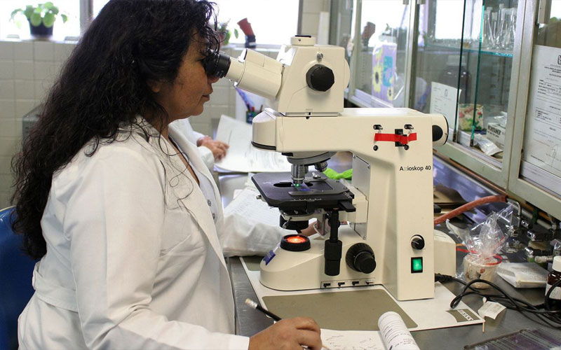 Convênio pode estimular e agilizar doação de órgãos no país