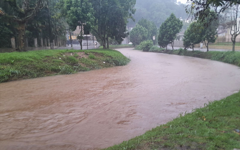 Estado garante medicamentos e insumos para municípios atingidos pela chuva