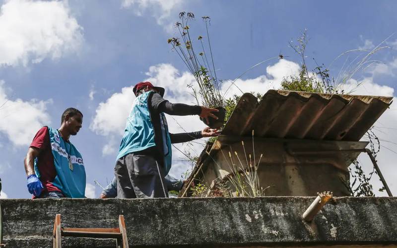 Sete estados e o DF têm tendência de queda nos casos de dengue