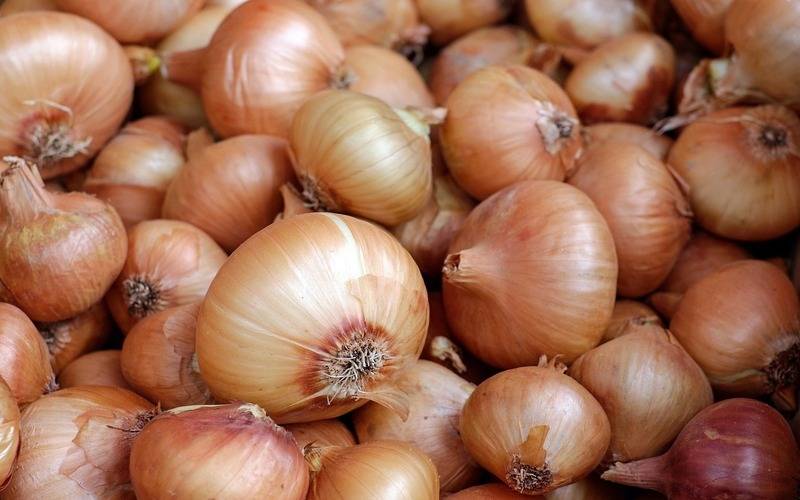 Planos de saúde, tomate e cebola influenciam inflação de março