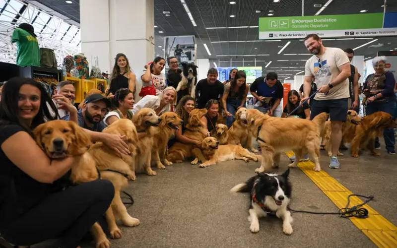 Após morte de Joca, tutores se manifestam no aeroporto de Brasília