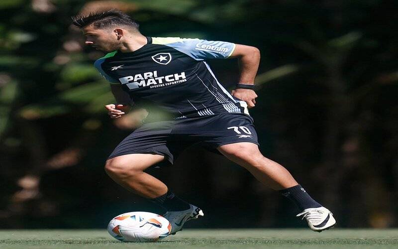 Botafogo joga futuro na Libertadores diante da LDU no Nilton Santos