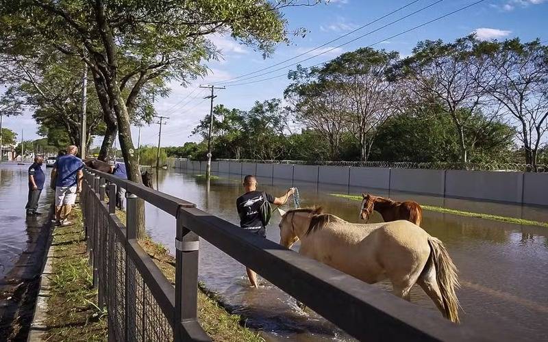 Foto: EPTC/Divulgação