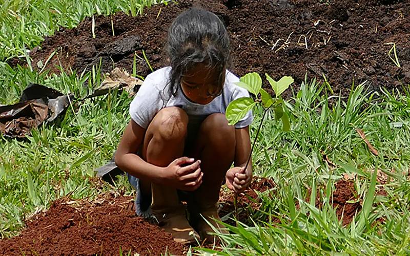 Estudo revela efetividade das ações de conservação ambiental