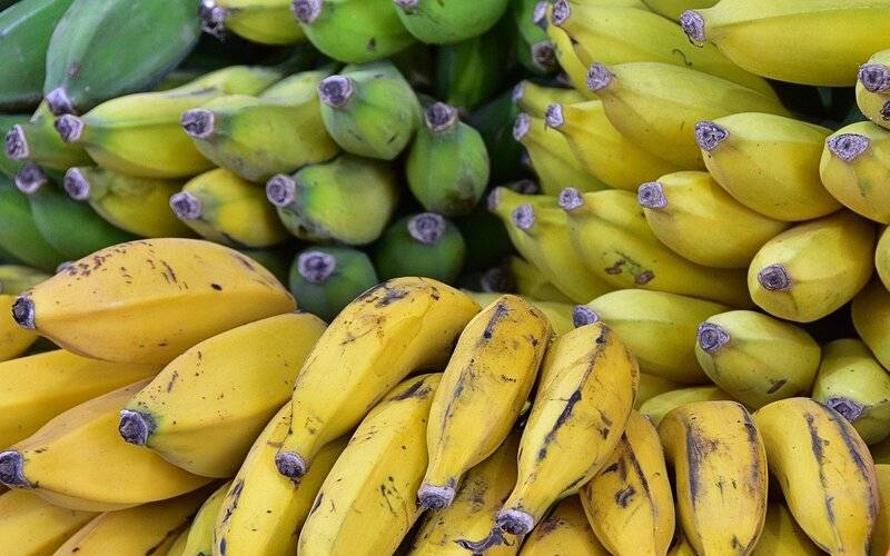 Boletim da Conab verifica queda de preços no atacado para batata e banana 