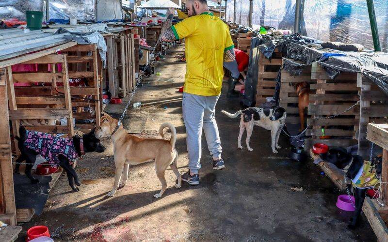 Foto Rafa Neddermeyer/Agência Brasil