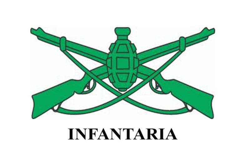 Dia da Arma