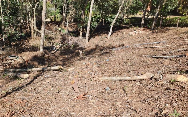 Petrópolis sobe para a sexta posição em crimes ambientais no Estado