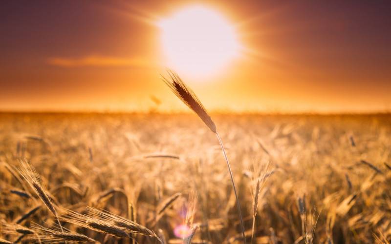 Como será o clima no Brasil em junho?