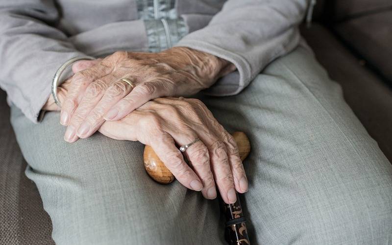 Campanha Junho Violeta promove conscientização e orientação sobre violência contra ido