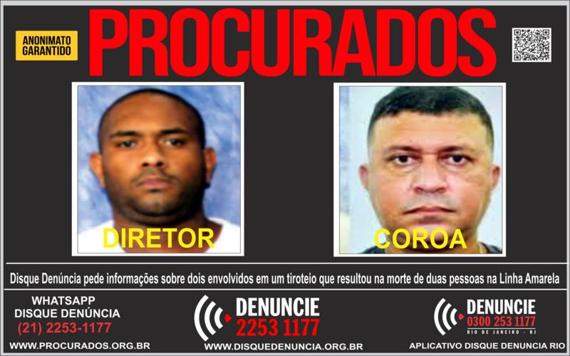 Divulgação