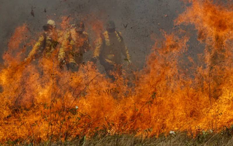 Estamos em uma das piores situações, diz Marina sobre Pantanal