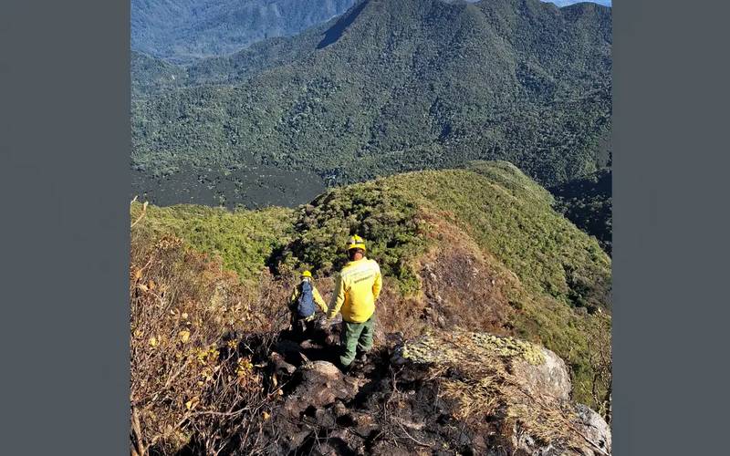 Parque Nacional do Itatiaia retoma visitação pública após incêndio