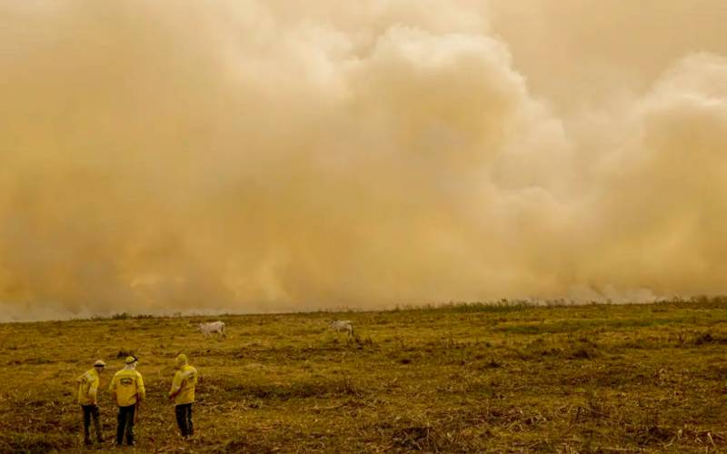 Queimada no Pantanal persiste mesmo após proibição de manejo do fogo