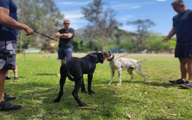 4º Encontro Canino acontece no Parque Municipal