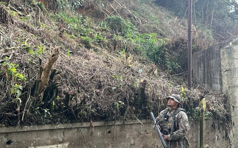 Polícia Ambiental identifica árvores cortadas sem autorização