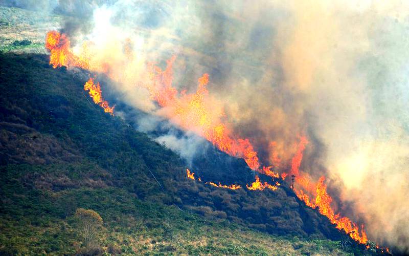 Medida agiliza recontratação de profissionais para combate a incêndios