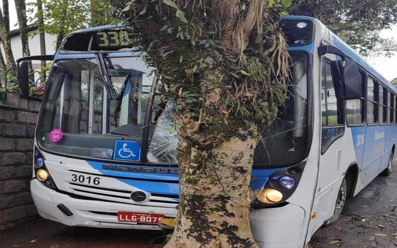 Ônibus colide em árvore no Centro