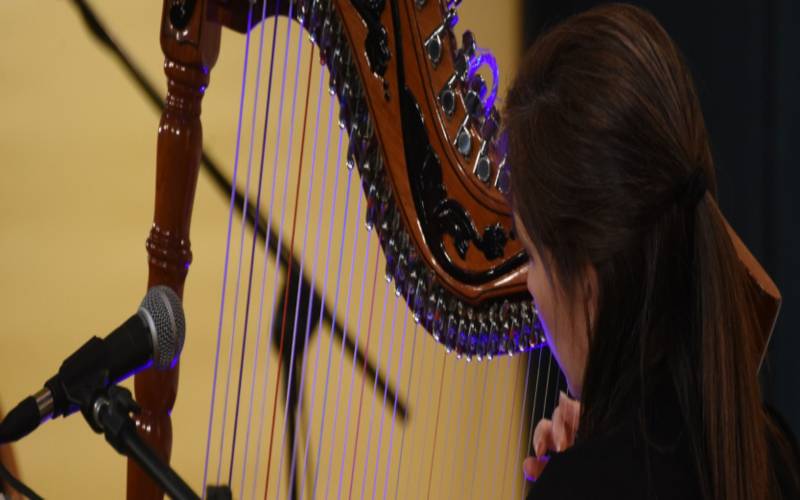 Sesc-Quitandinha recebe XIX RioHarp Festival