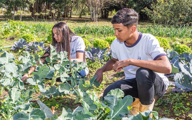 Aluna do curso Técnico em Agropecuária de colégio estadual agrícola cria horta com foc