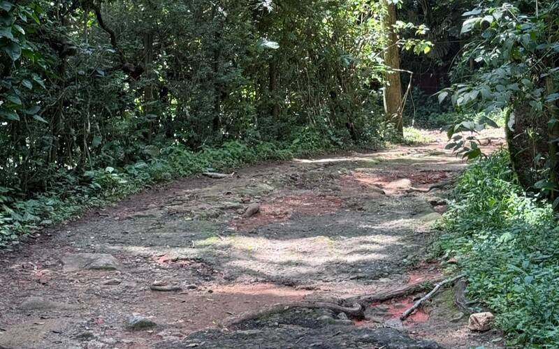 Moradores pedem por ações na Estrada do Limoeiro na Fazenda Inglesa