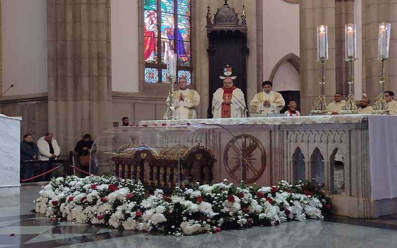 Relíquias de Santa Teresinha chegam na Catedral