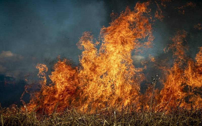 Aumento de área queimada em Petrópolis é reflexo de calor e ação humana, analisa secre