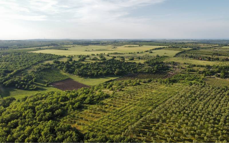 Fundo de investimento do agro cresce 147% nos últimos 12 meses