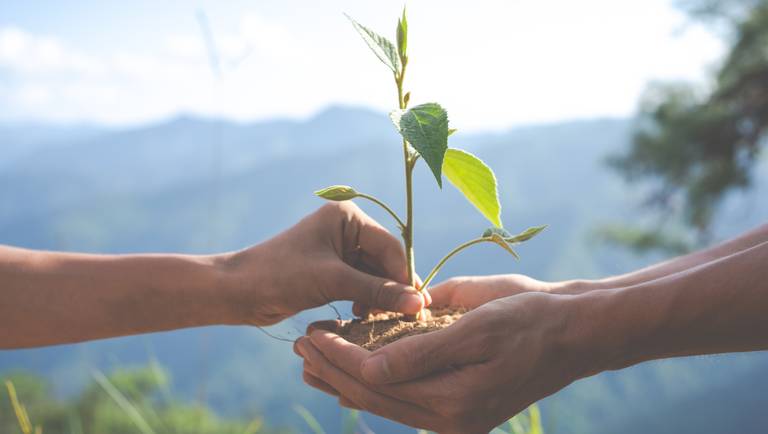 Ministério do Turismo apoia chamamento público para projetos de conservação ambiental