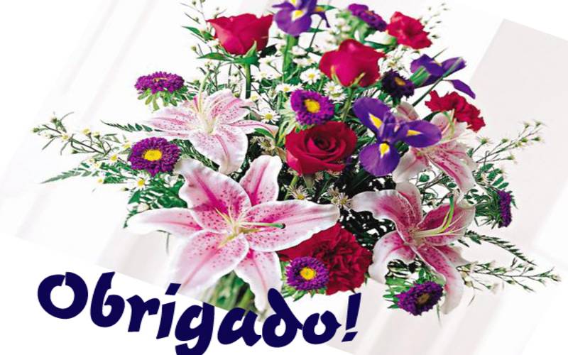 (foto 3 agradecimentos)