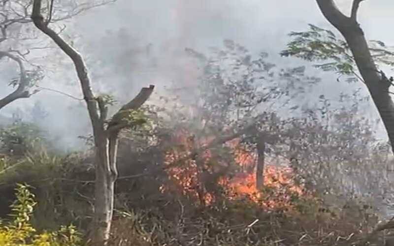 Moradores auxiliam no combate a incêndio em área de mata no Samambaia