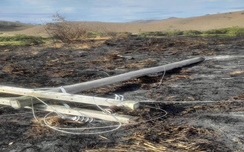 Enel Distribuição Rio alerta para risco de queimadas próximo à rede elétrica