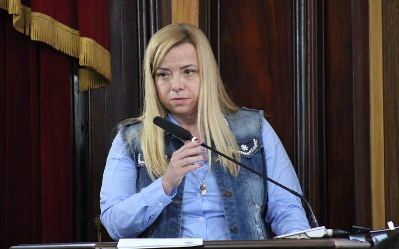 Vereadores buscam reeleição de olho no desempenho de seus partidos