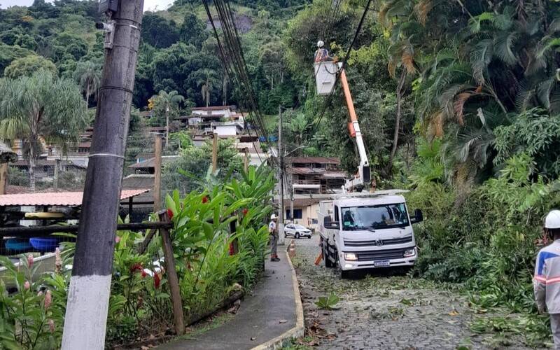 Enel intensifica mutirão podas de árvores para prevenir quedas de energia