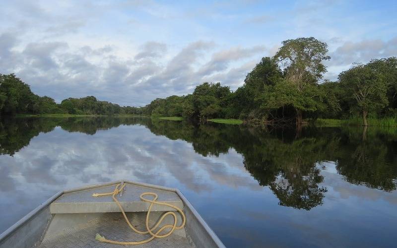 Amazônia tem 2,5 milhões de hectares queimados em agosto