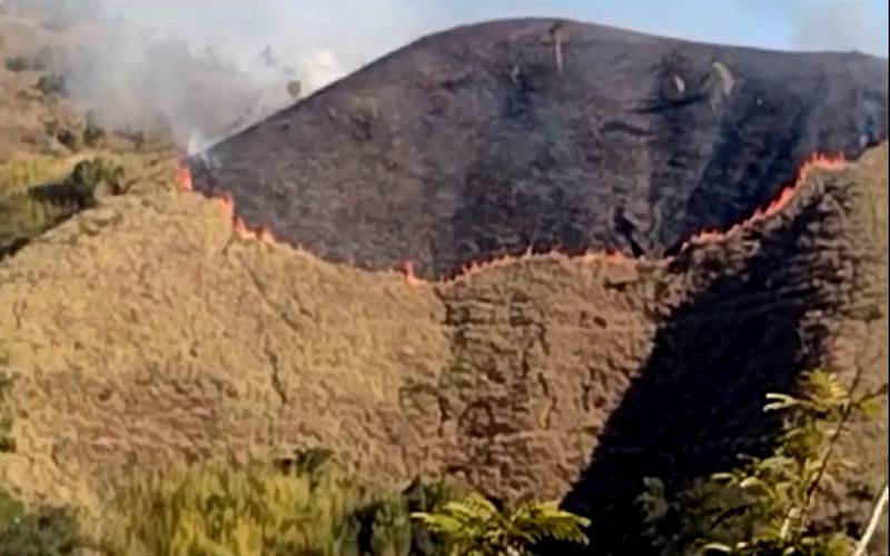 Casos de incêndio aumentam 160% neste ano em Petrópolis