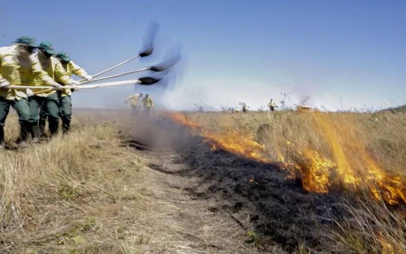 Governo Federal autoriza contratação de brigadas temporárias em vinte unidades da Fede