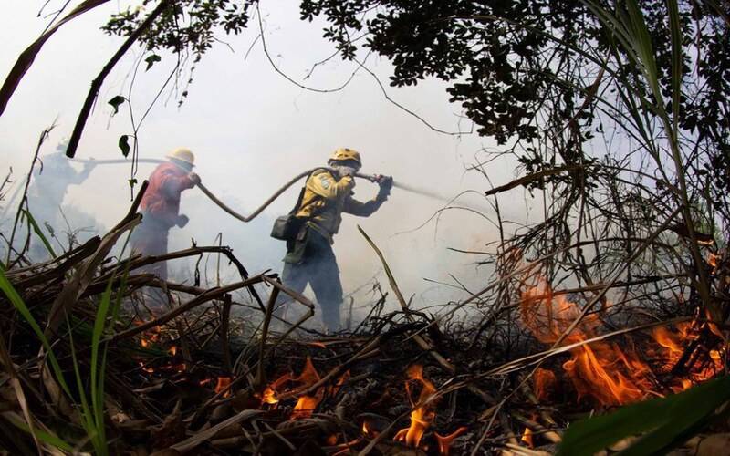 Plano Clima Participativo atinge o marco de mil propostas recebidas