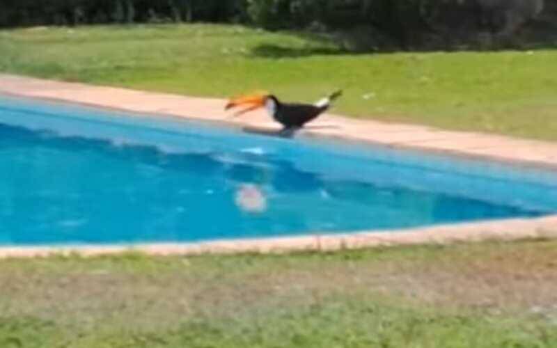 Calor predomina neste domingo em Petrópolis