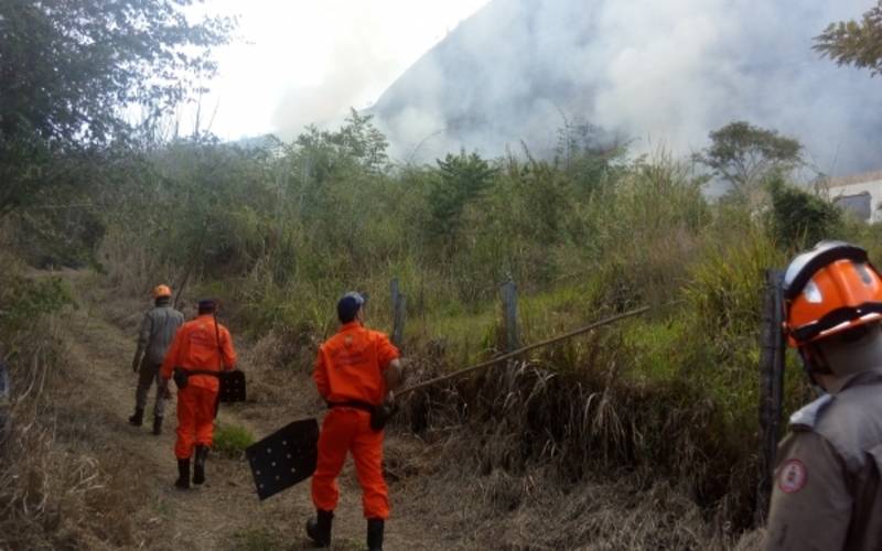 Prefeitura deverá adotar providências urgentes em resposta aos incêndios florestais 