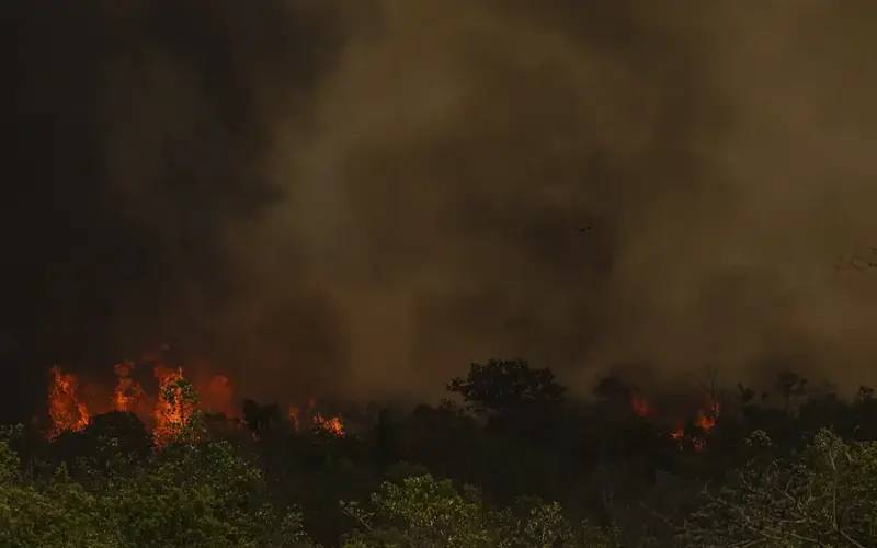 Chuva ajuda a apagar incêndio no Parque da Serra dos Órgãos, no Rio