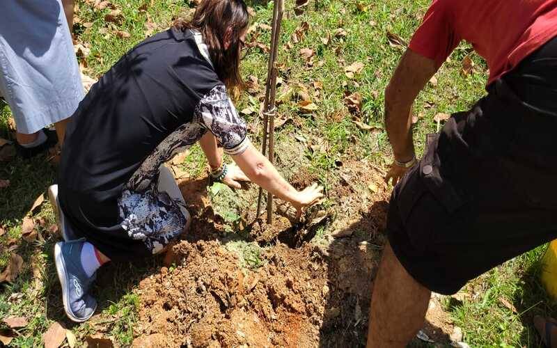 Bramil realiza plantio de 200 mudas de espécies nativas