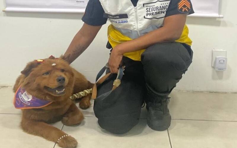 Segurança Presente prende homem em flagrante por maus tratos a animal