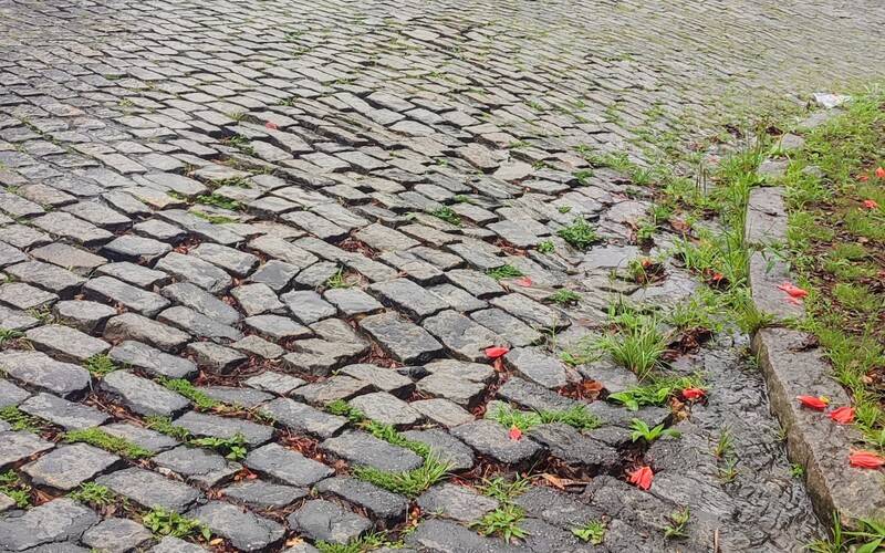 Moradores denunciam falta de iluminação pública e mau estado em rua do Bingen