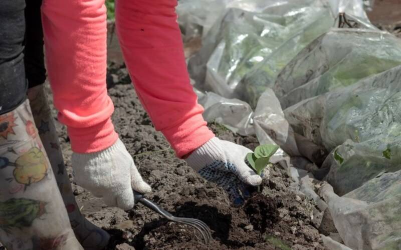 Experiência brasileira auxilia construção de política agrícola em Angola