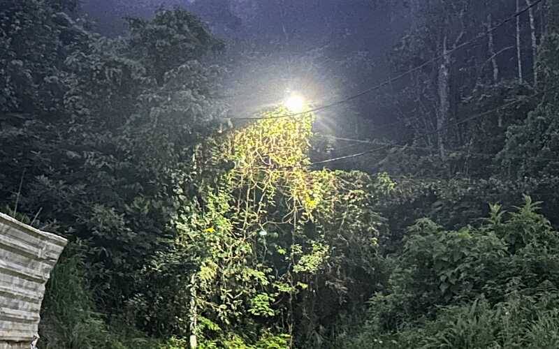 Falta de iluminação e vegetação em poste no Alto da Serra