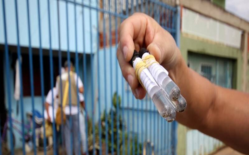 Saúde intensifica mobilização no Rio de Janeiro para controle da dengue, zika e chikun