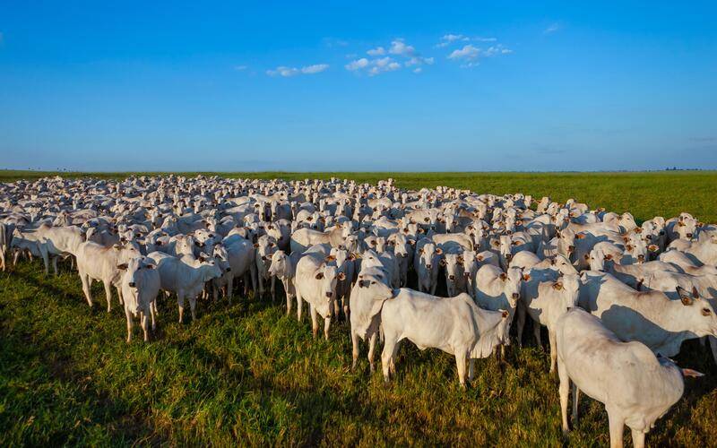 Secretaria de Estado de Agricultura do RJ reforça a campanha de atualização cadastral 